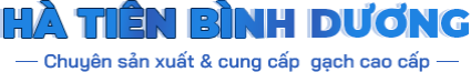 C&Ocirc;NG TY TNHH HTV SẢN XUẤT THƯƠNG MẠI H&Agrave; TI&Ecirc;N B&Igrave;NH DƯƠNG